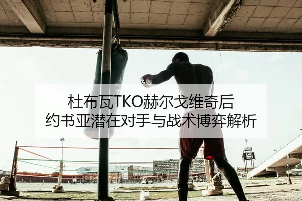 杜布瓦TKO赫尔戈维奇后 约书亚潜在对手与战术博弈解析